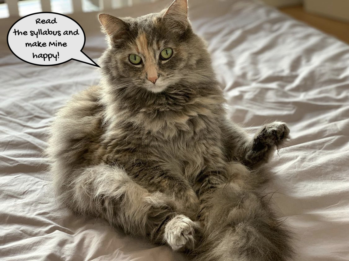 Picture of my cat Dorianne Gray (a gray, furry tabby) with a speech bubble that says "Read the syllabus and make Mine happy!"